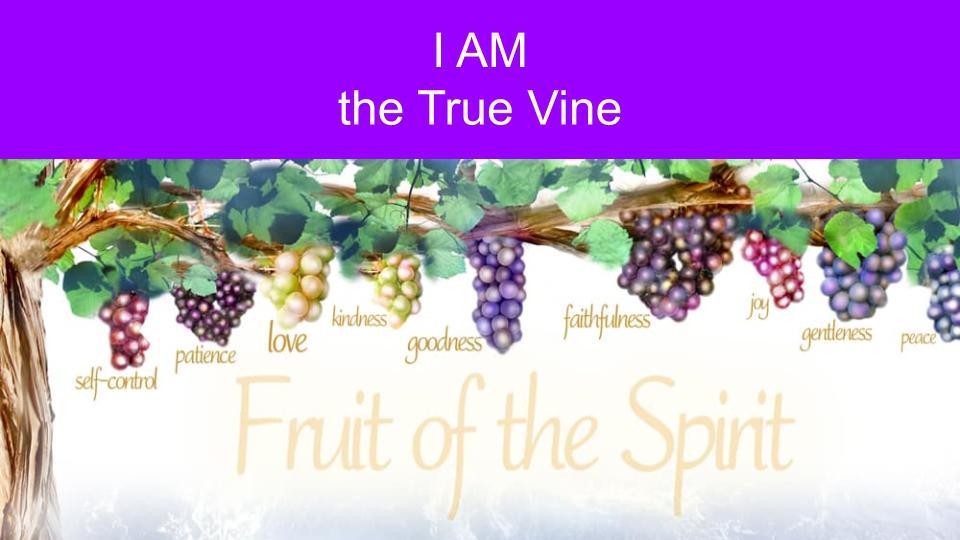 The 7 I AM Statements of Jesus - I AM the True Vine - EP23