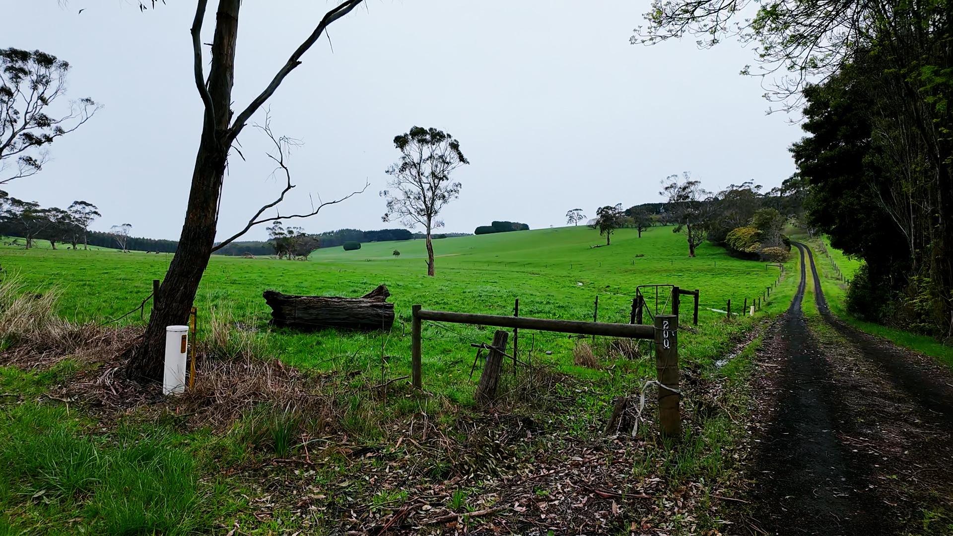 Visiting the farm, with Andrew and Heather 