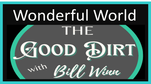 Episode 39 Wonderful World