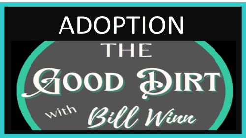 Episode 43 Adoption